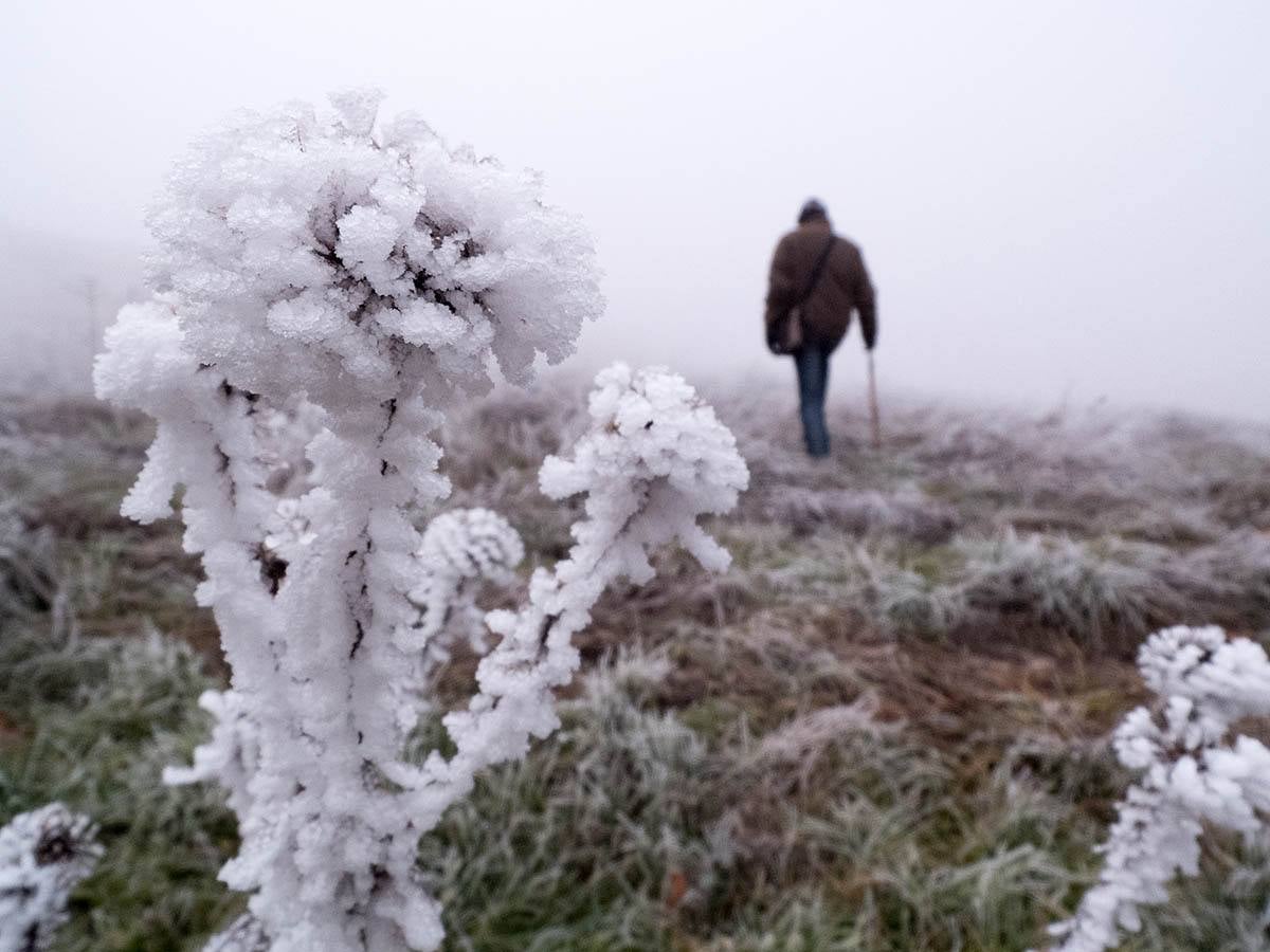 Fuertes heladas en Salamanca