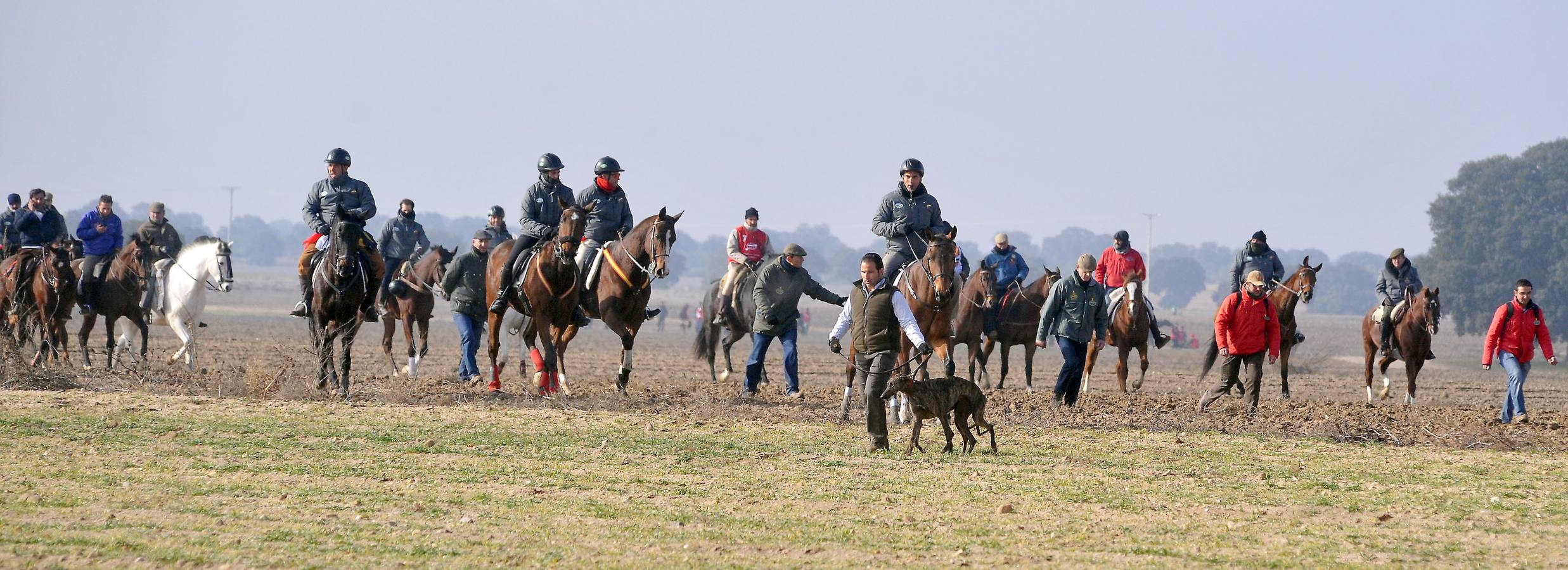 Segunda jornada del Campeonato Nacional de Galgos