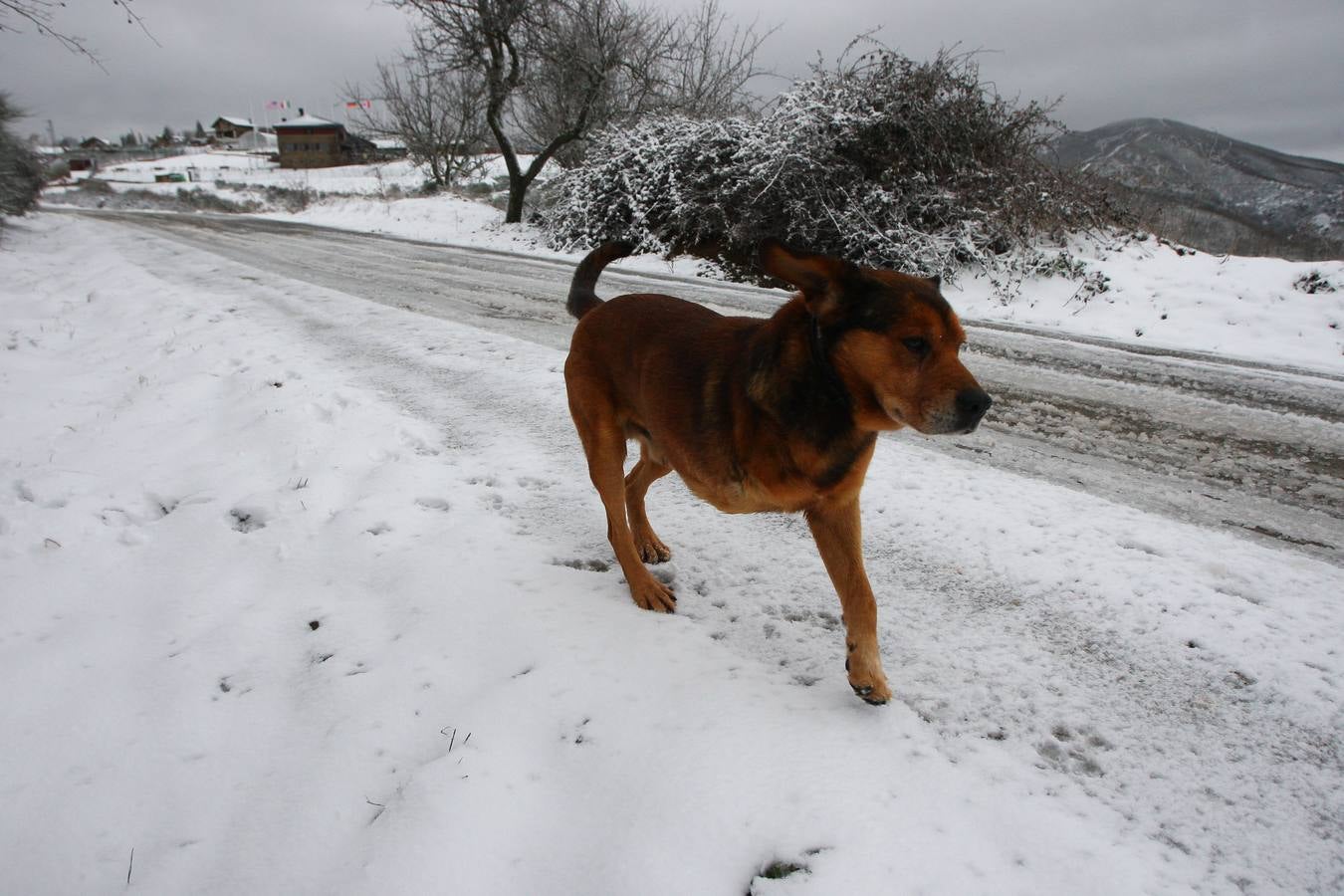 Nieve en El Bierzo
