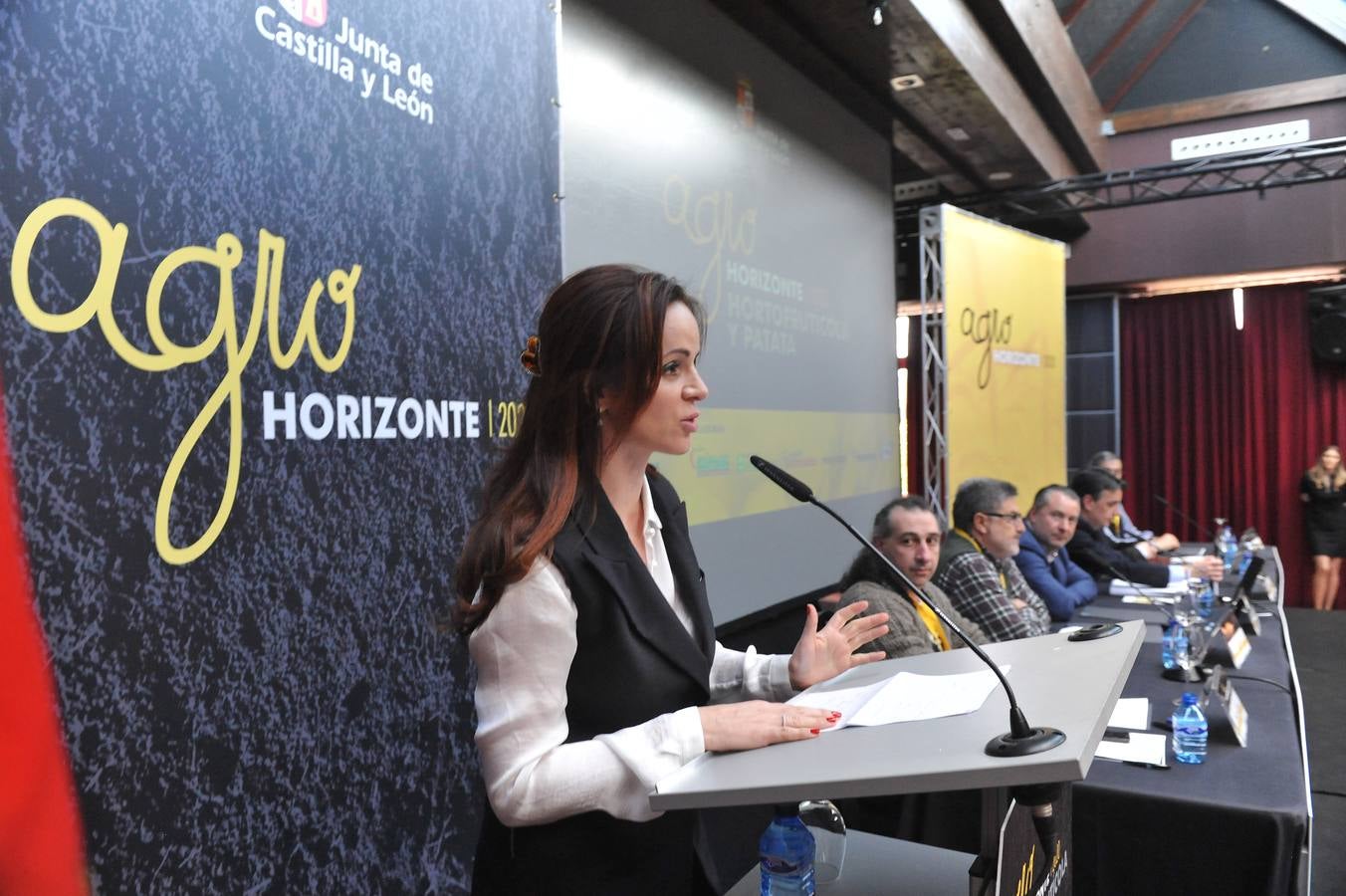 Jornada dedicada a la patata, la fruta y la hortaliza en el marco de Agrohorizonte 2020