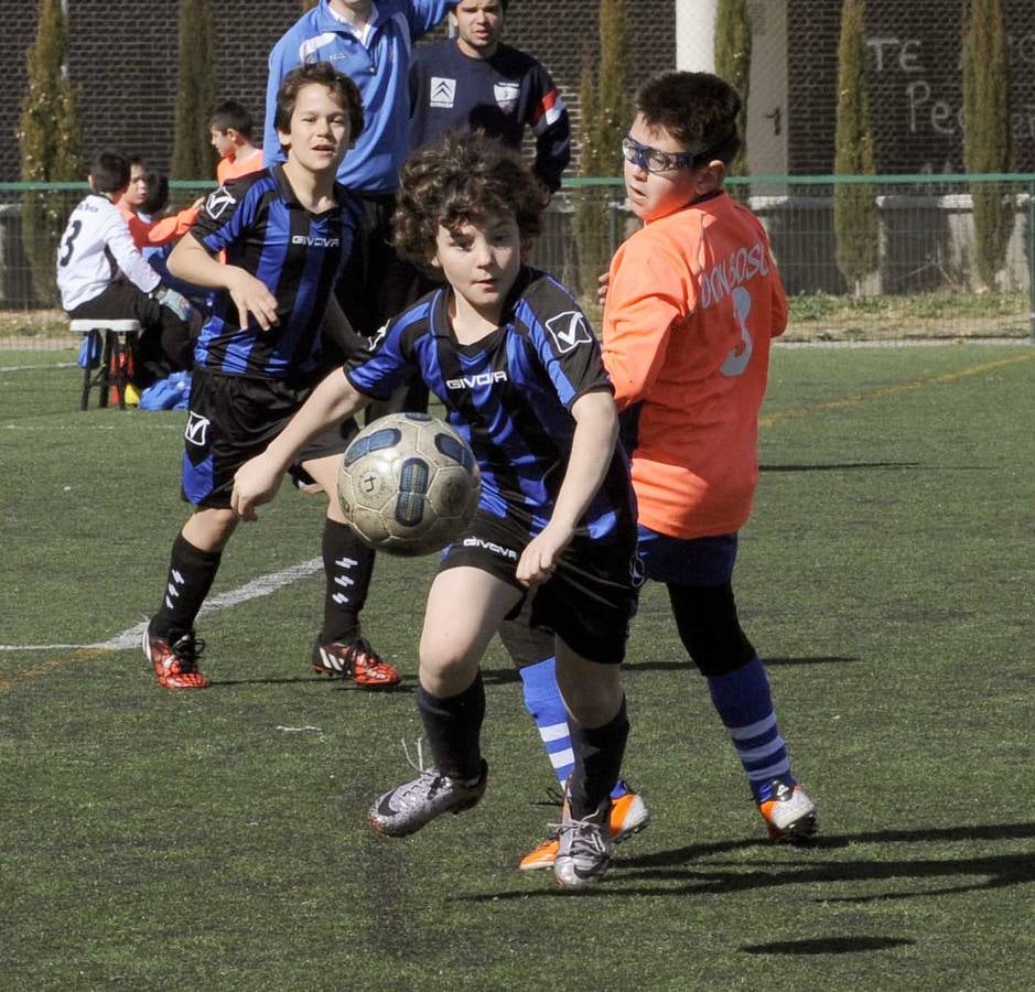 Deporte Base 7 y 8 de marzo. Valladolid (3/3)