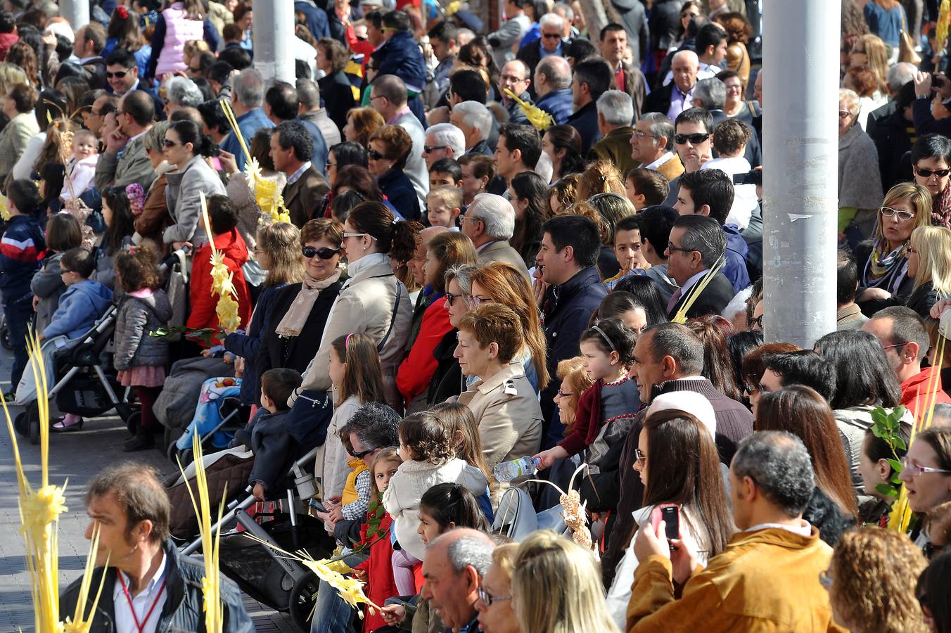 Procesión de la borriquilla en Medina del Campo