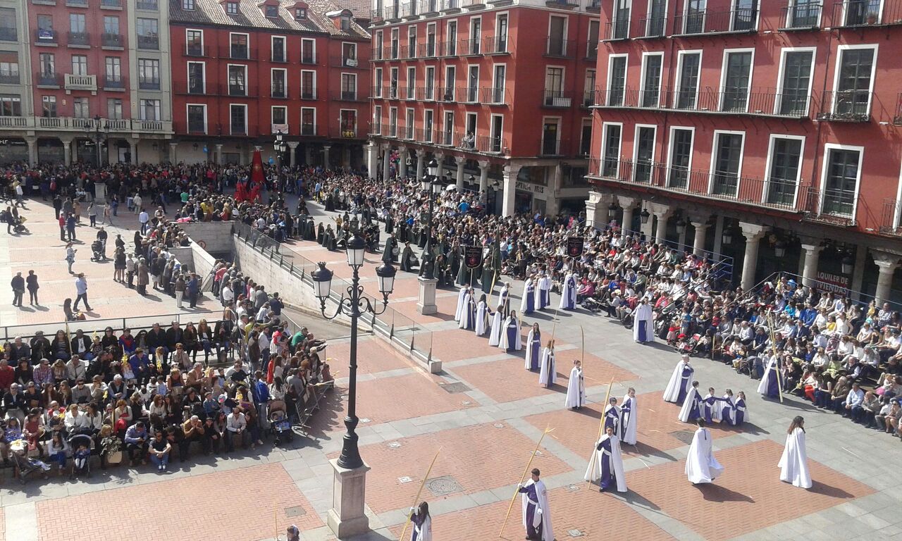 Procesión de las Palmas en Valladolid