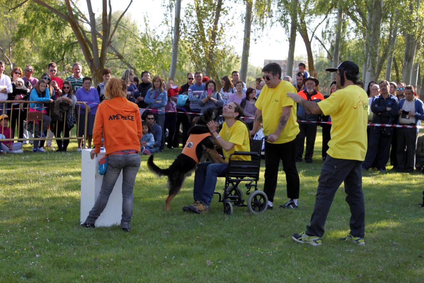 Fiestas en honor a San Marcos en Torquemada