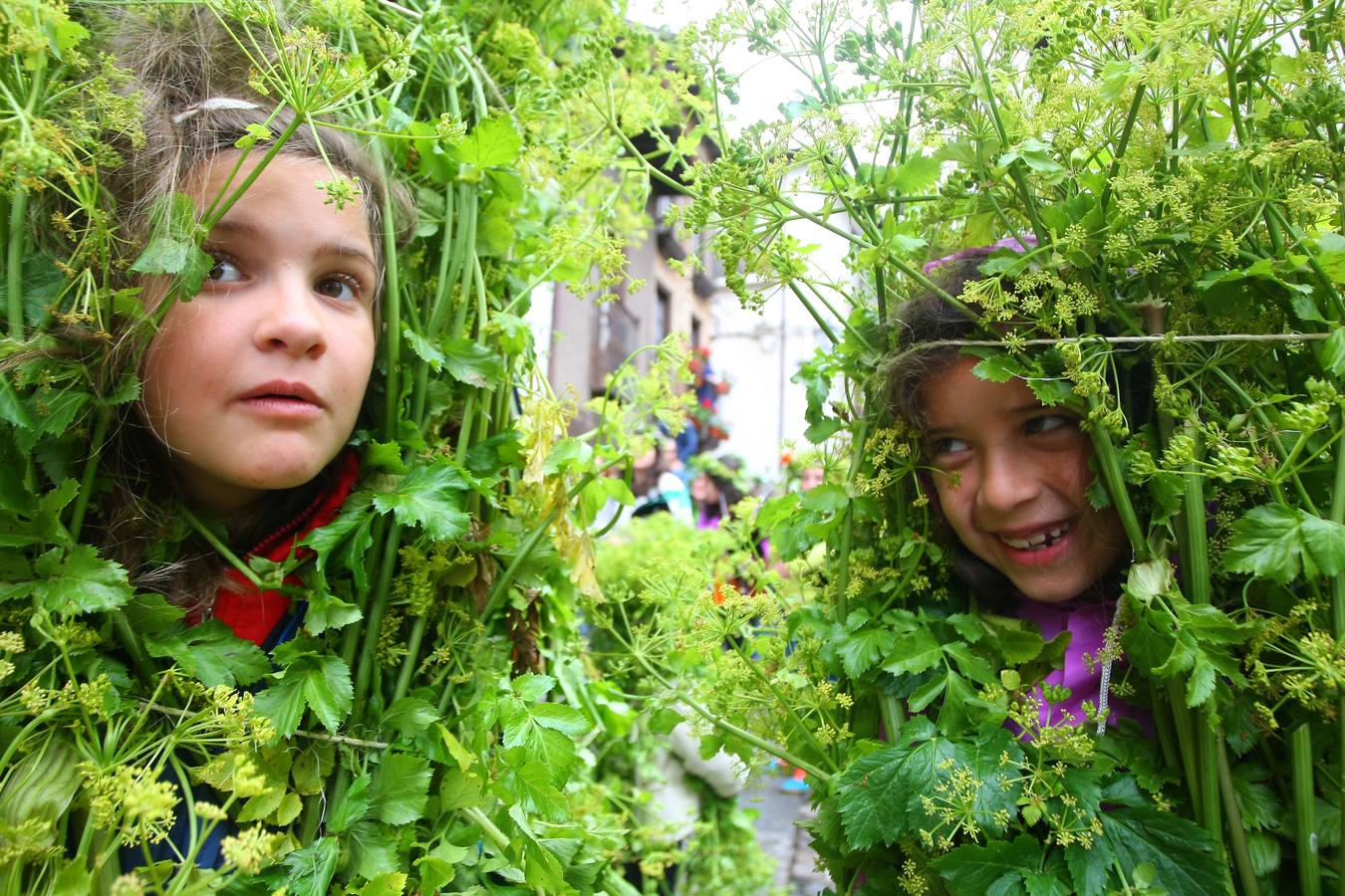 Fiesta de los Maios de Villafranca del Bierzo (León)