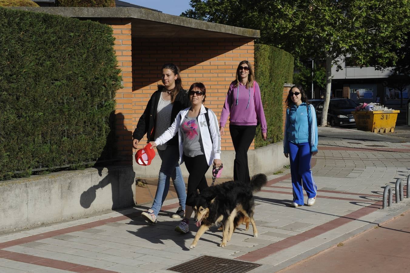 Marcha Asprona (10/13)