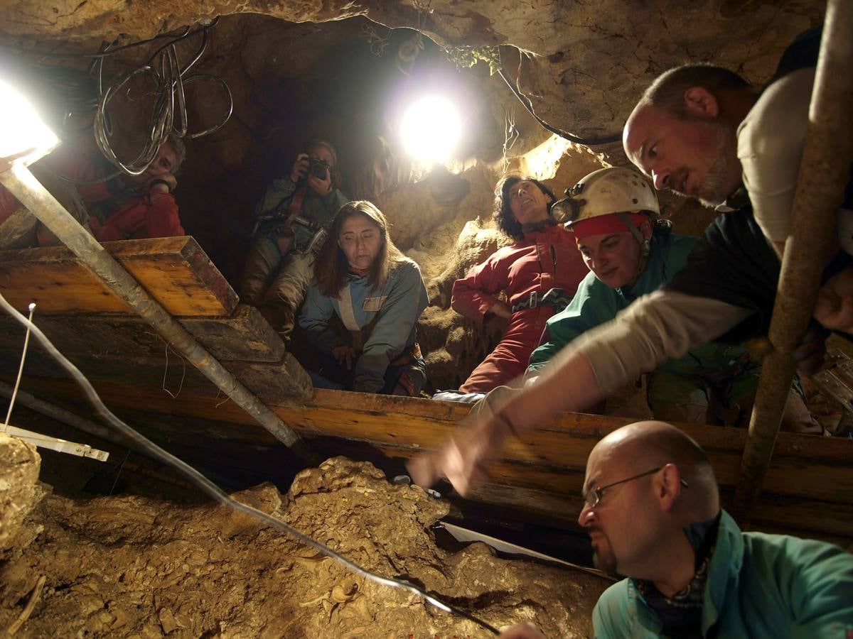 Un cráneo hallado en Atapuerca revela el primer caso documentado de asesinato