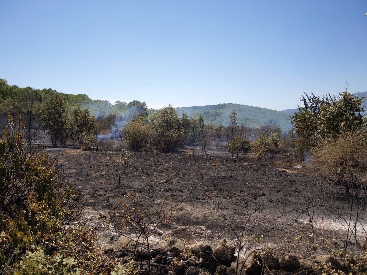 Incendio en Cepeda (Salamanca) 1/2