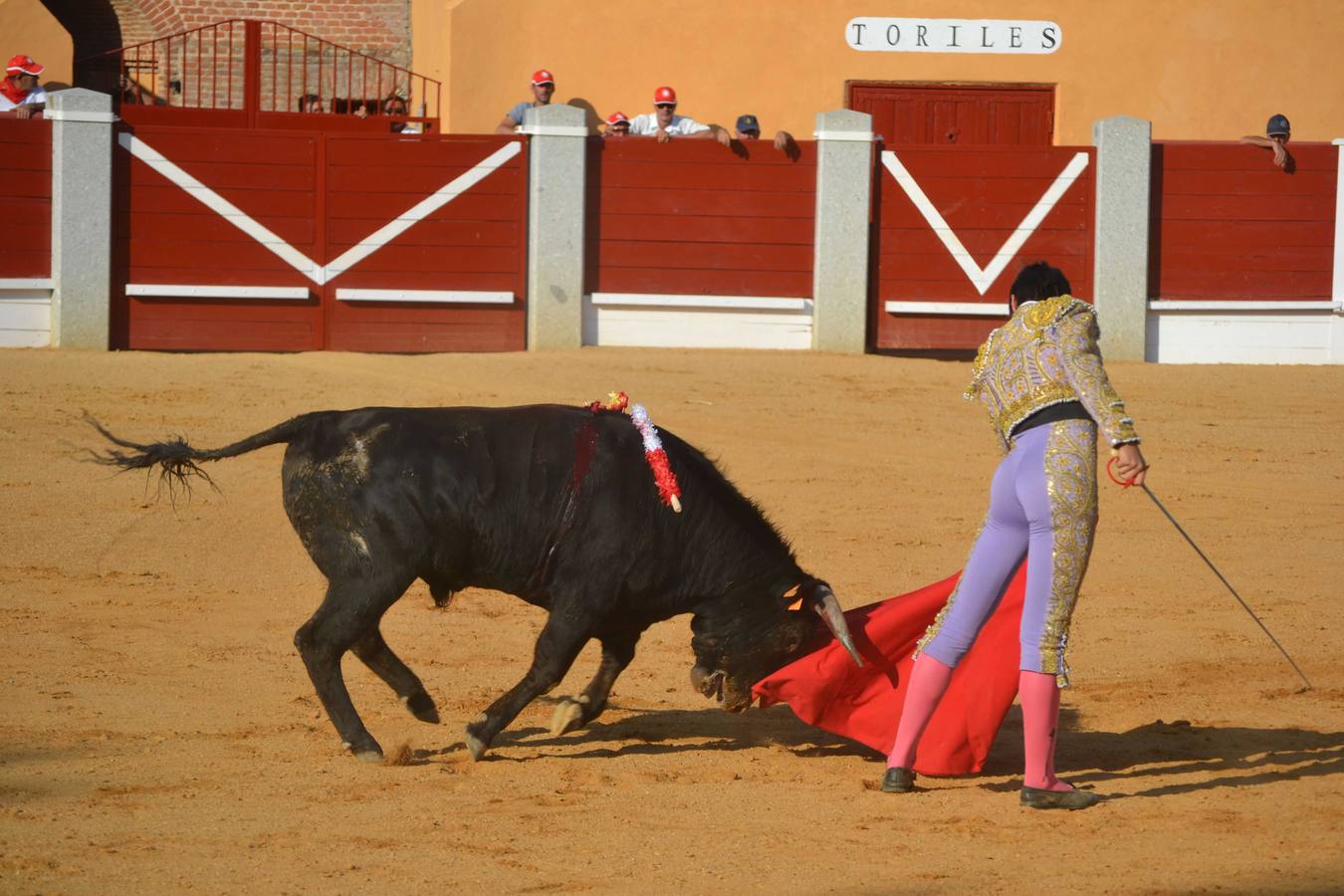Novillada en las fiestas de Peñaranda