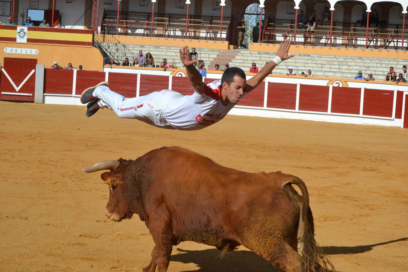 Concurso de cortes en Peñaranda de Bracamonte
