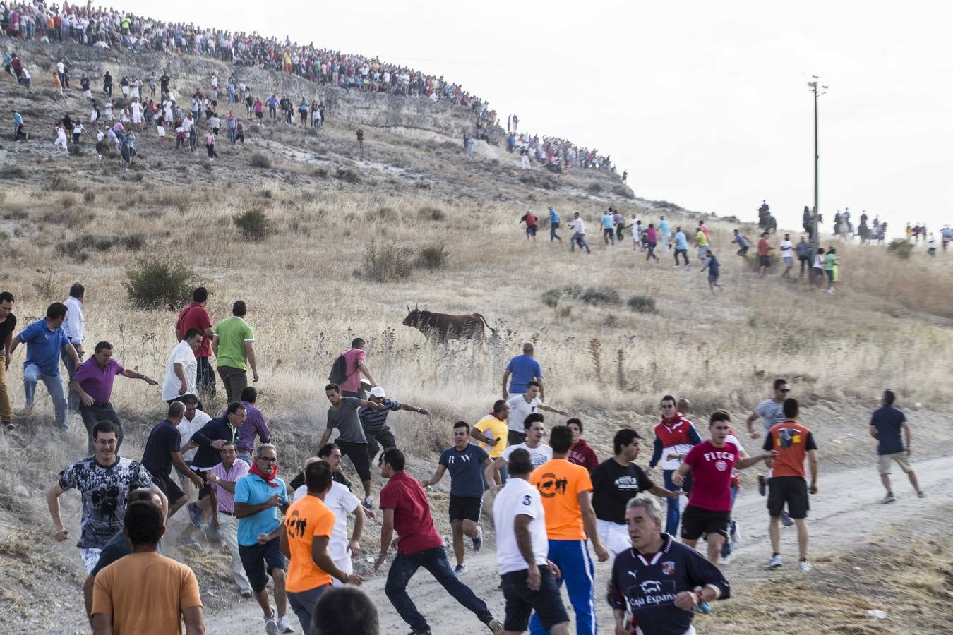 Primer encierro de las fiestas de Cuéllar (Segovia)