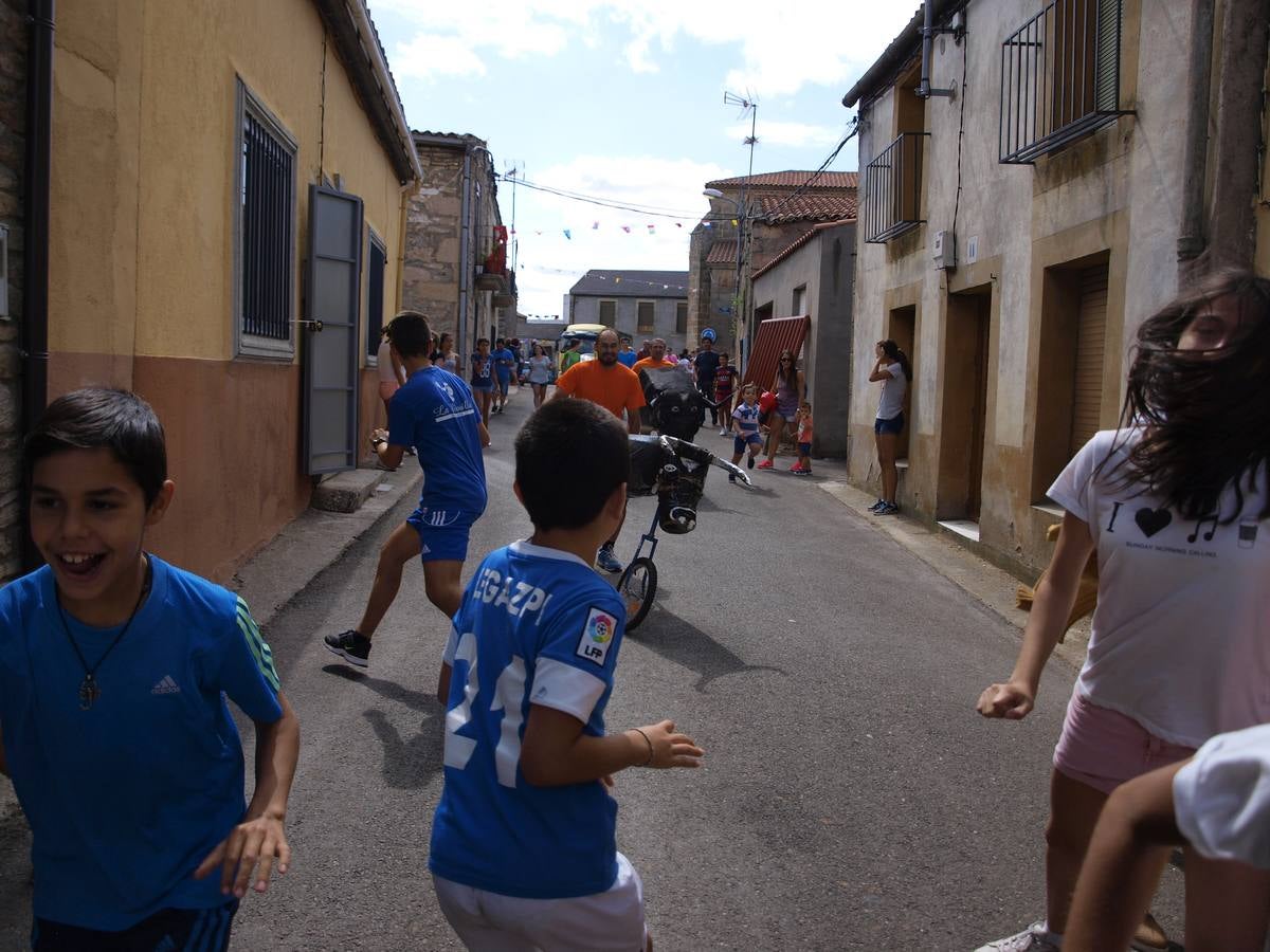 Fiestas de Pereña de la Ribera (Salamanca) 1/2
