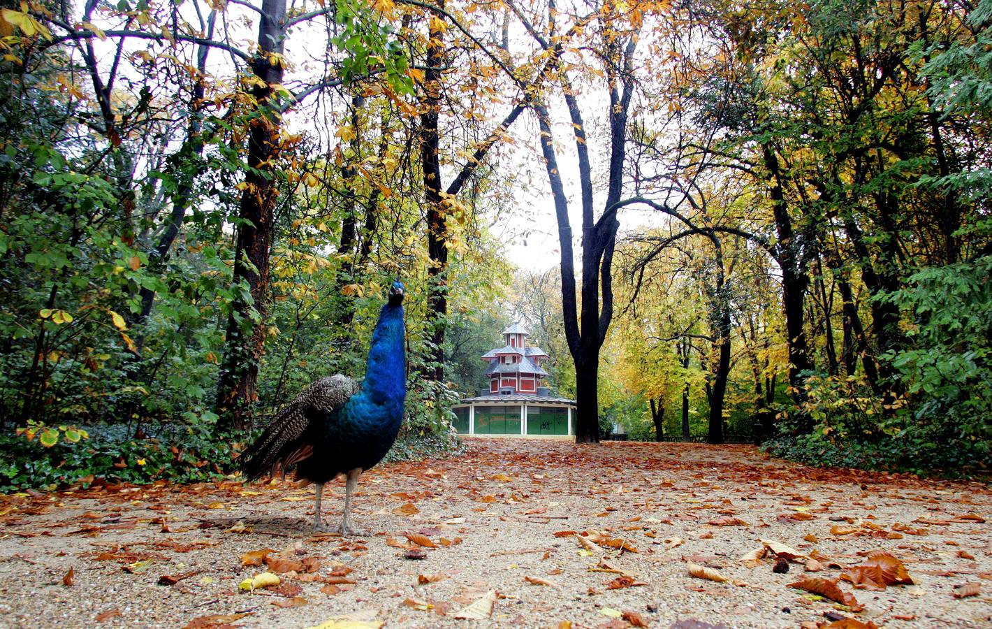 Castilla y León se viste de Otoño