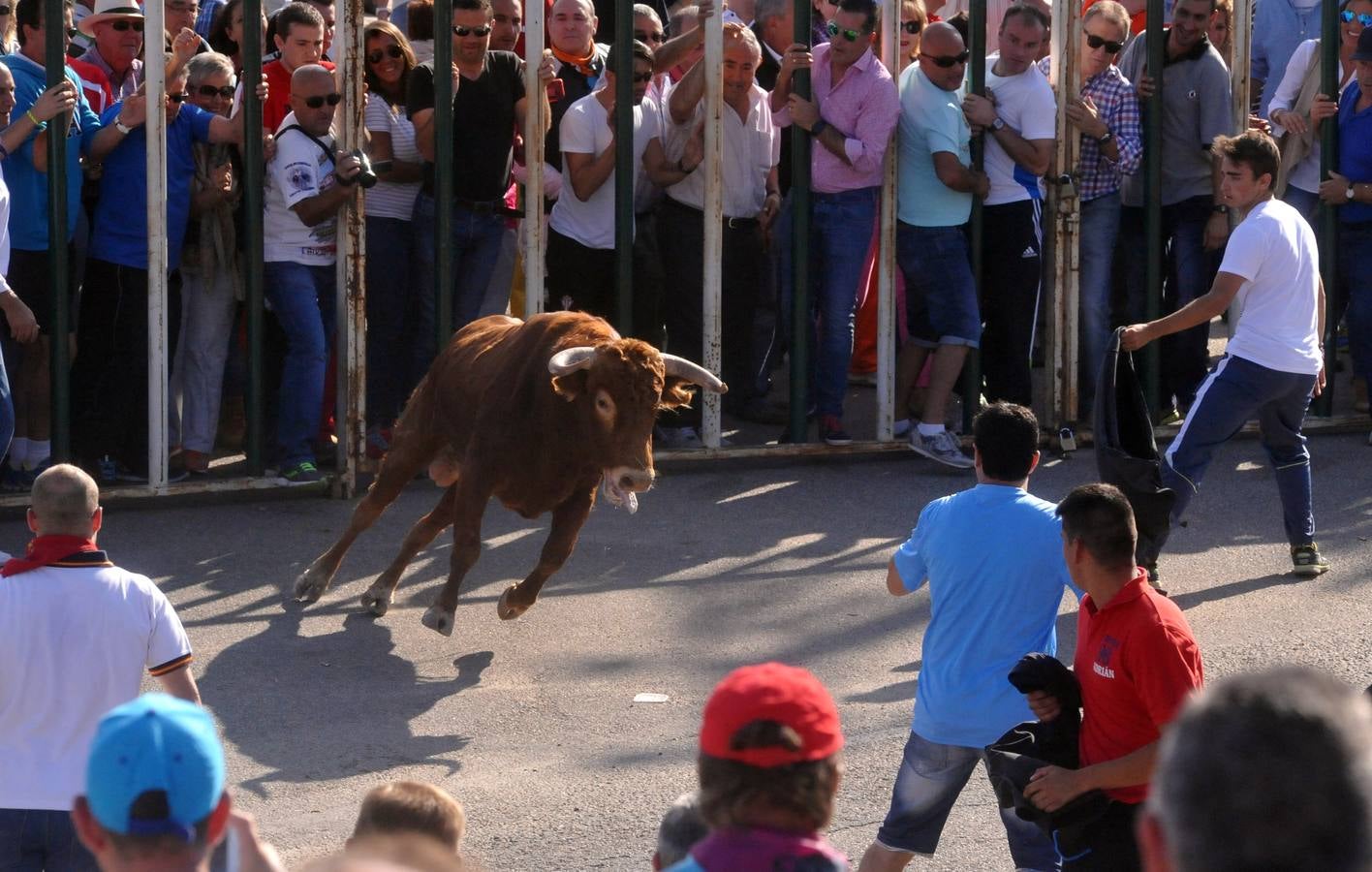 Tercer encierro de las Fiestas de Olmedo 2015