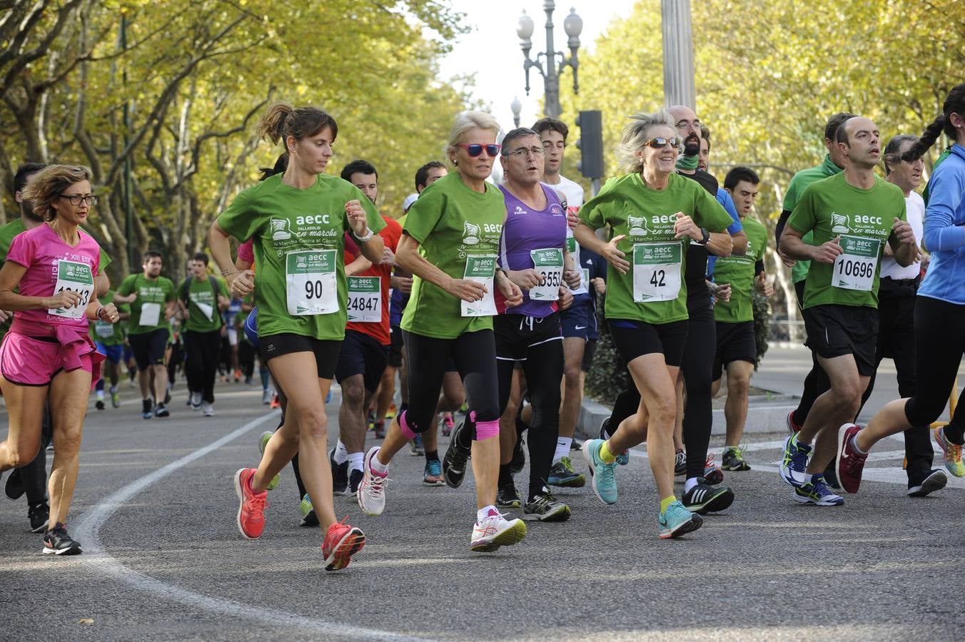 Marcha Contra el Cáncer 2015. Valladolid 17