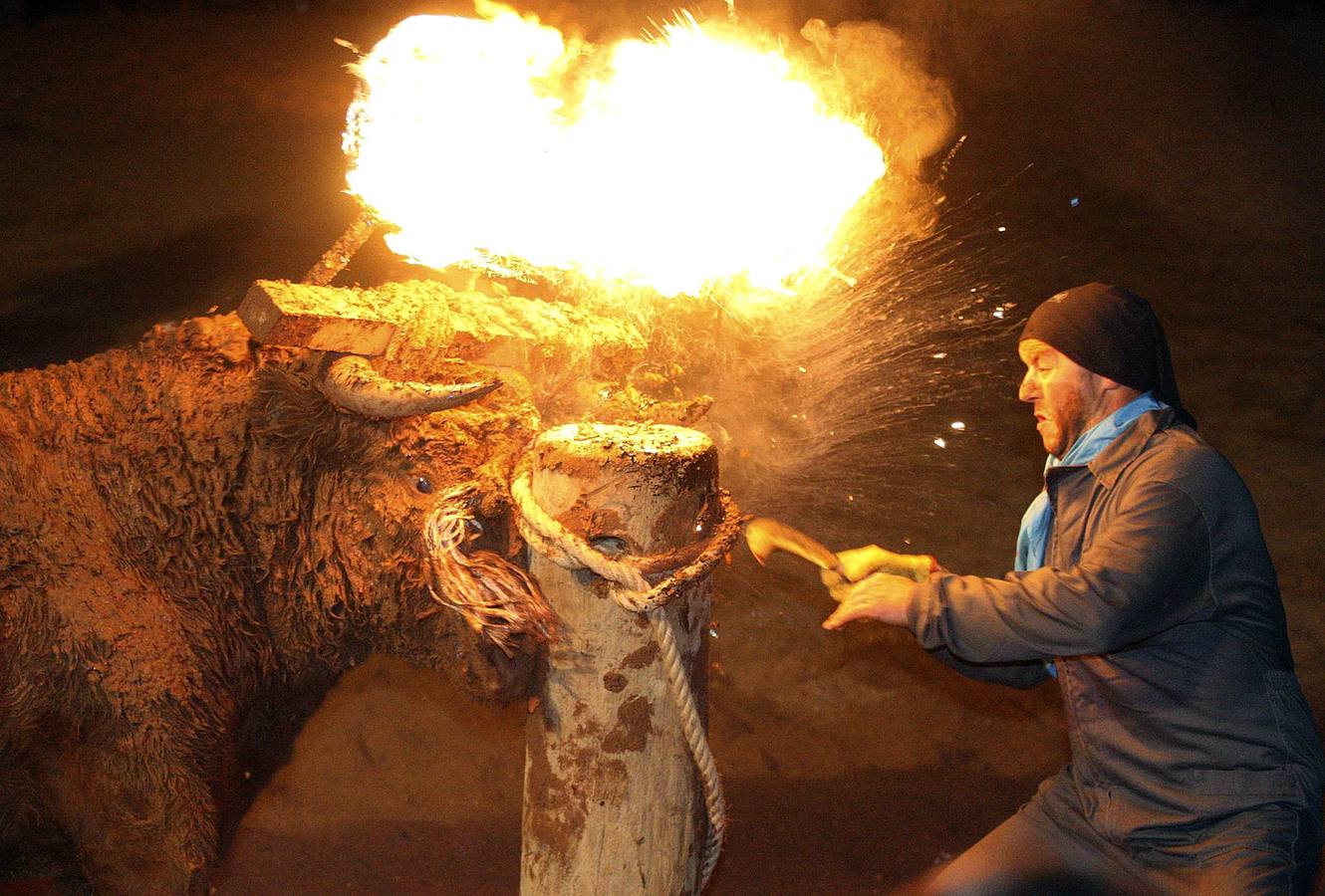 Toro jubilo 2015 en Medinaceli (Soria)