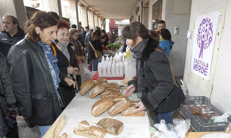 XV Mercado de Productores Ecológicos en la Plaza Mayor de Palencia