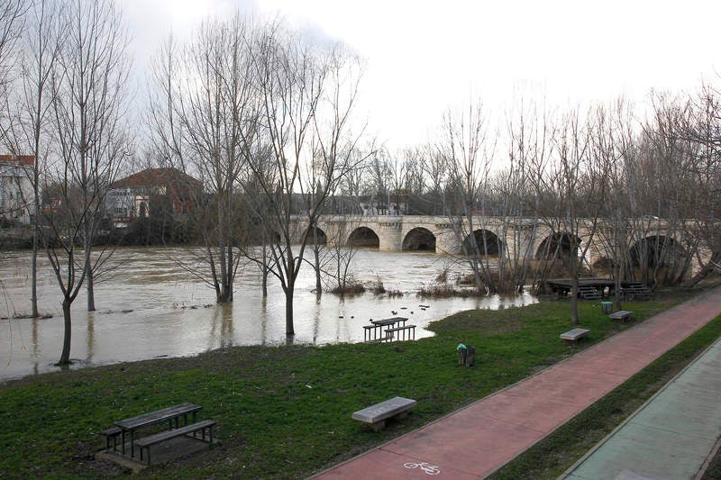 El río Carrión se desborda a su paso por Palencia