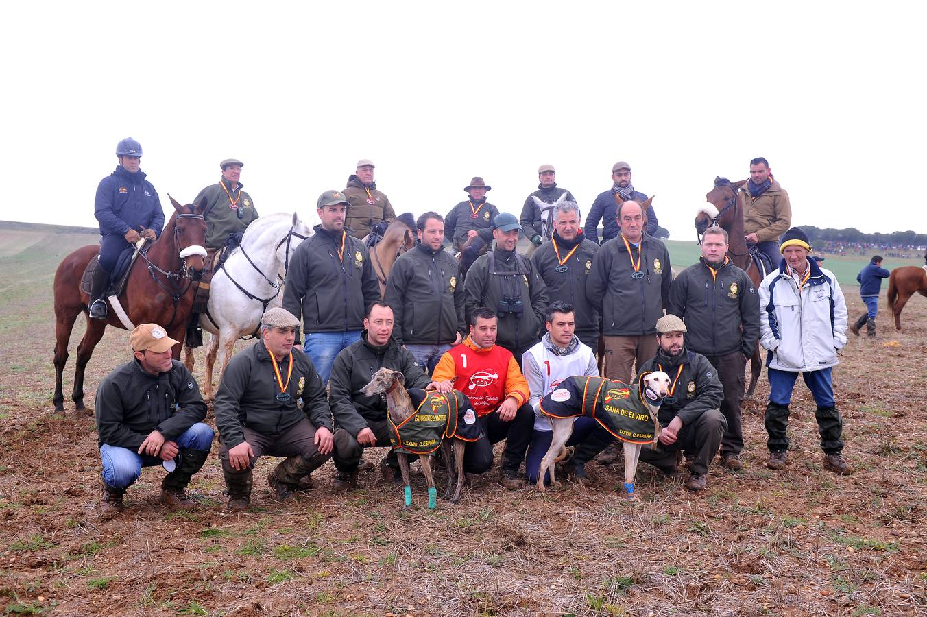 Campeonato de galgos en Nava del Rey