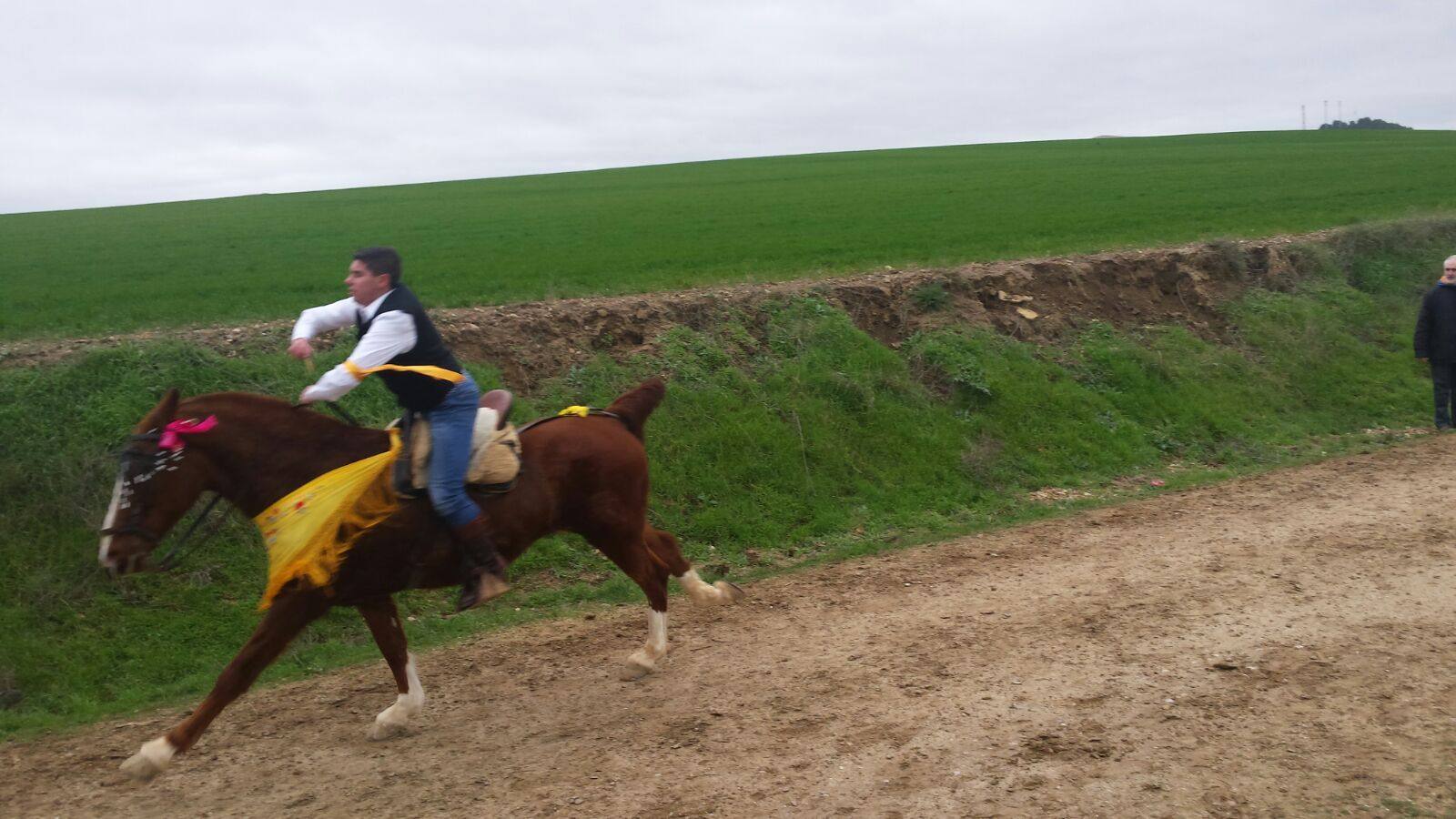 Carrera de cintas a caballo de los quintos de Torrelobatón (Valladolid)
