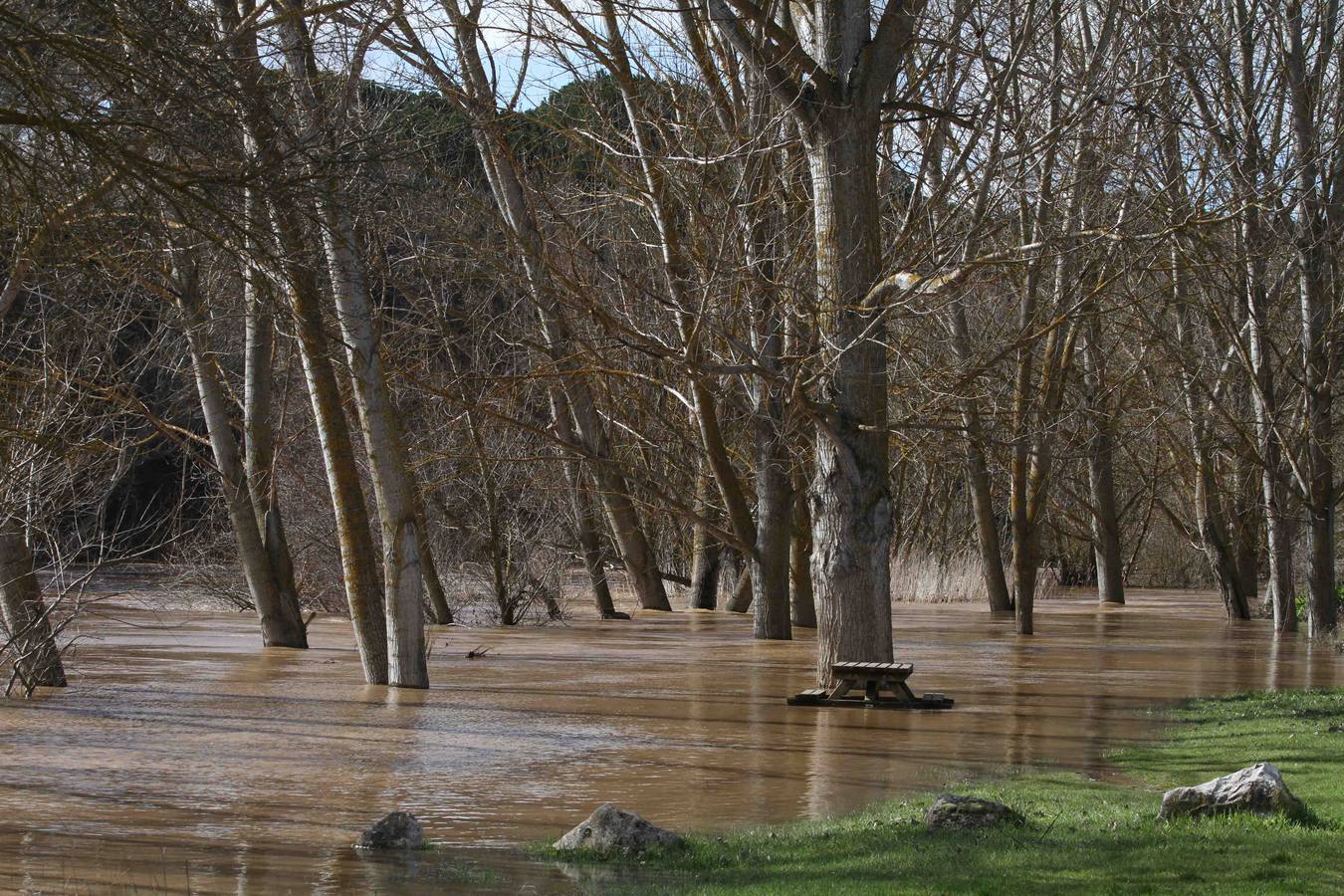 Crecida del río Duero entre Peñafiel y Sardón