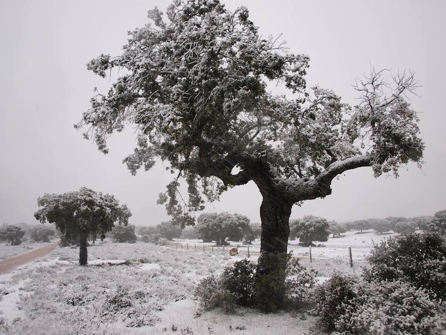 Nieve en la provincia de Salamanca