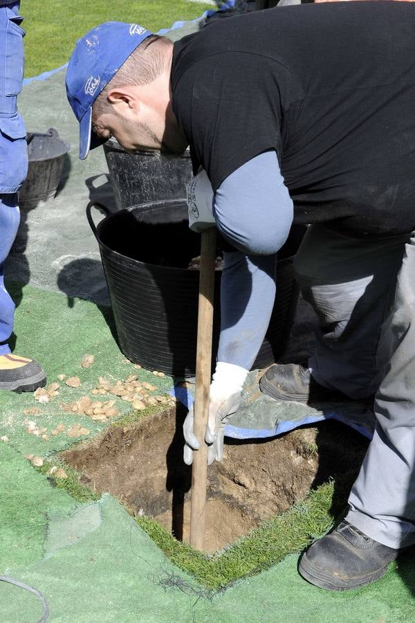 El césped del Zorrilla se prepara para acoger la final de la Copa del Rey de Rugby