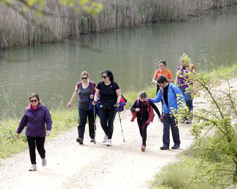 XXXVII marcha en favor de Aspanis en Palencia (4/5)