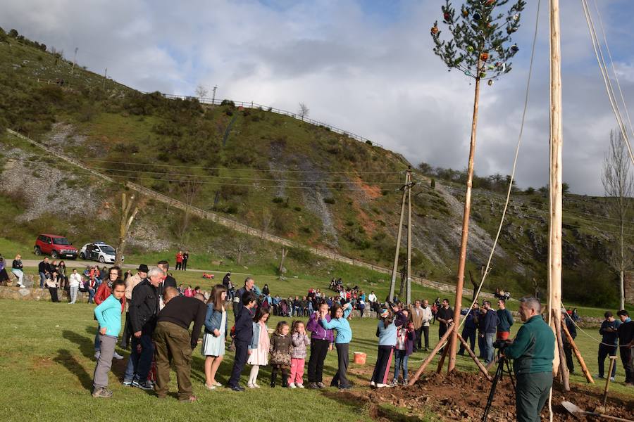 Velilla pina el mayo