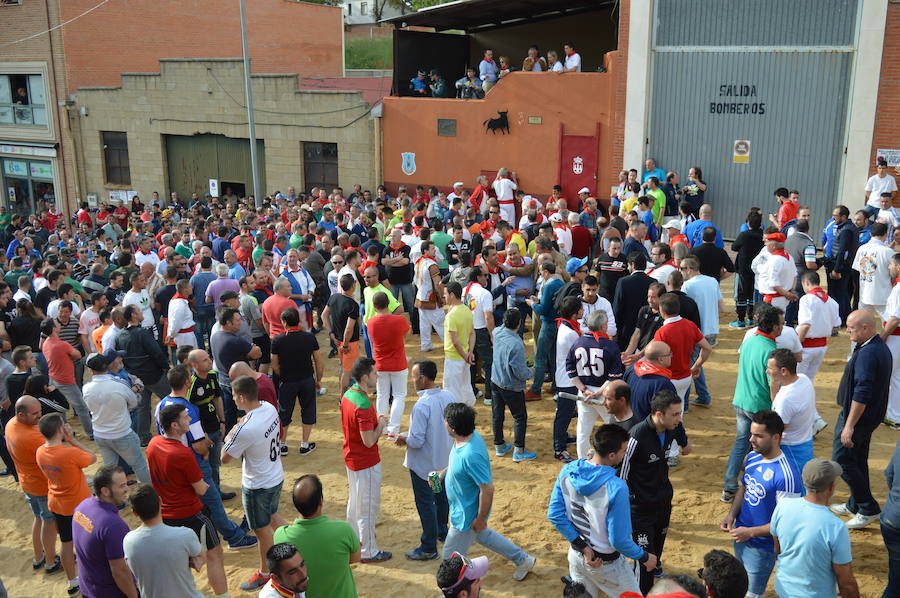'Pitarroso'. Toro enmaromado de Benavente 2016