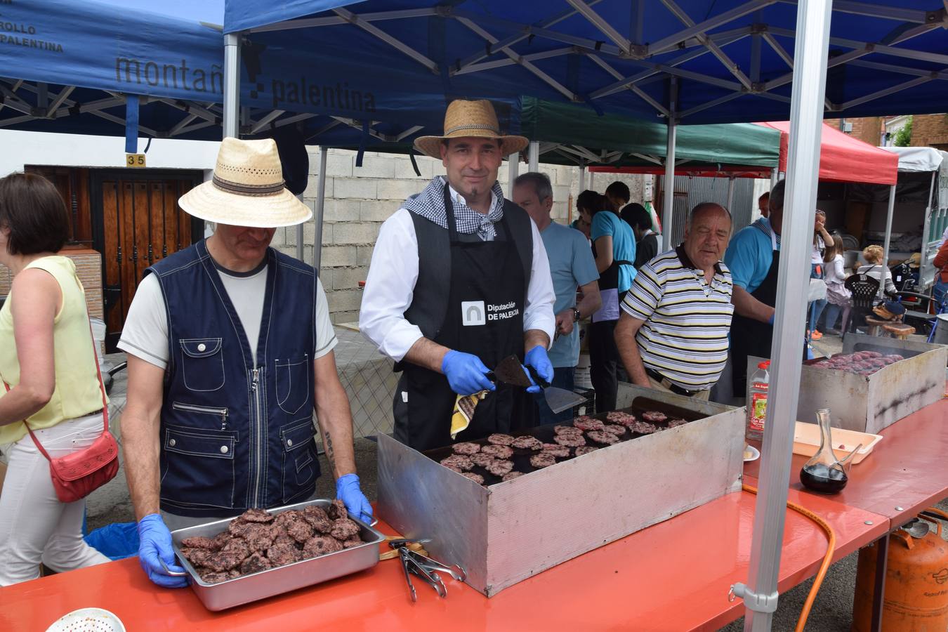 Fiestas de San Antonio en Guardo (Palencia)