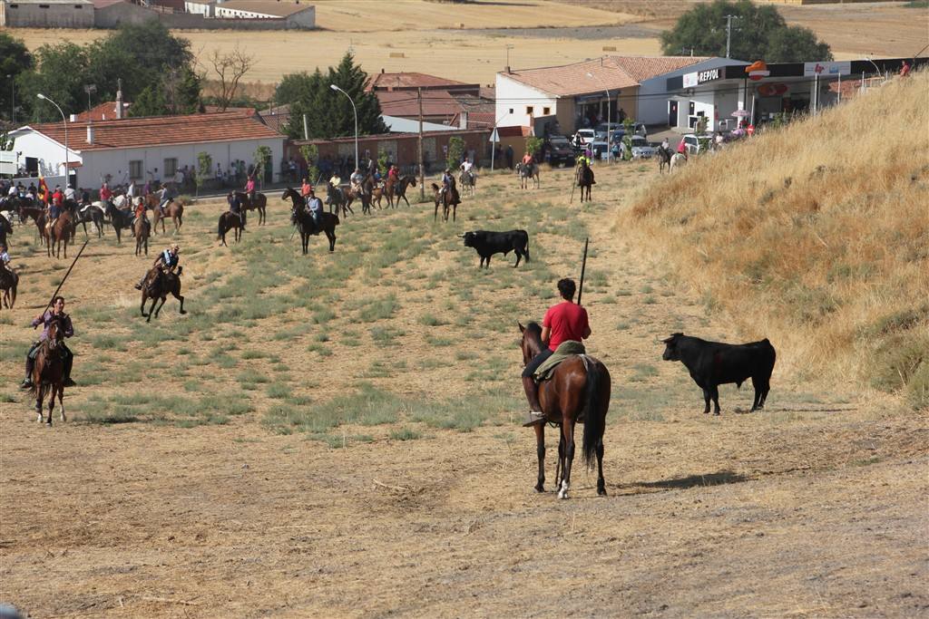 Primer encierro por el campo de las fiestas de Portillo