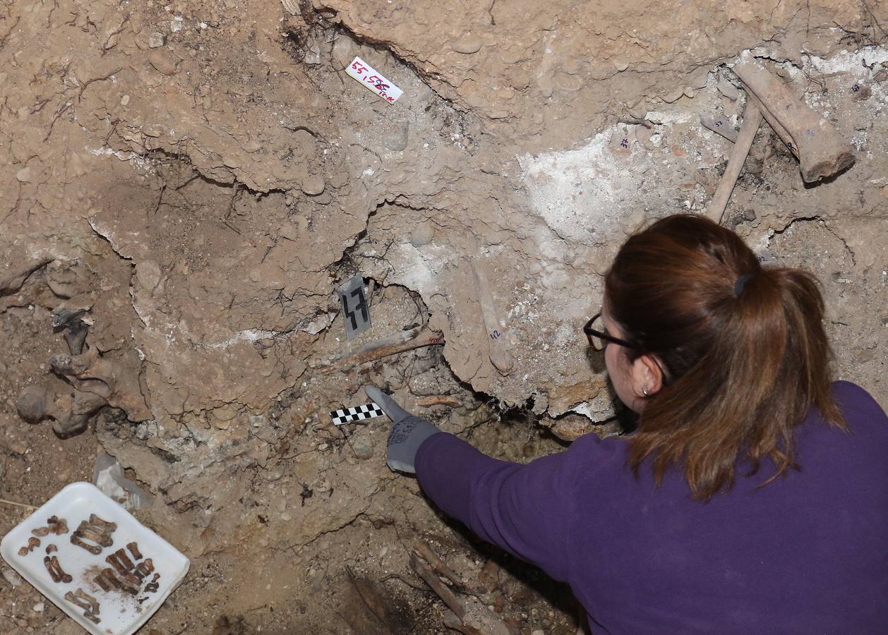 185 fusilados rescatados del olvido en el cementerio de El Carmen