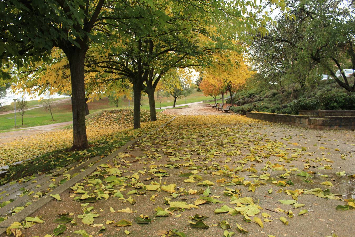 Otoño en Valladolid