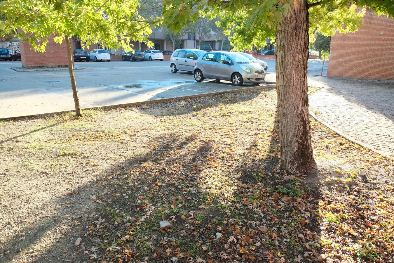 Valladolid se viste de otoño