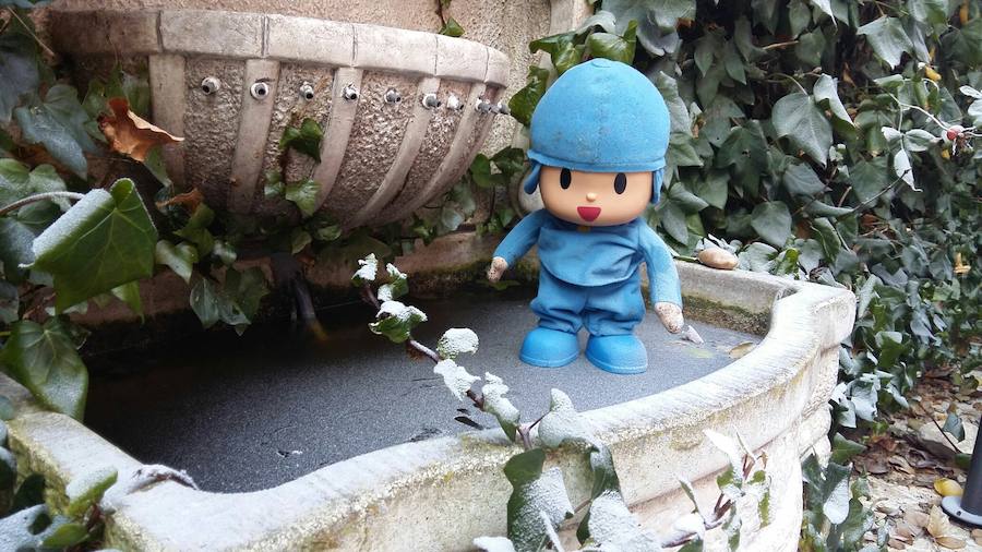 Helada en Medina del Campo