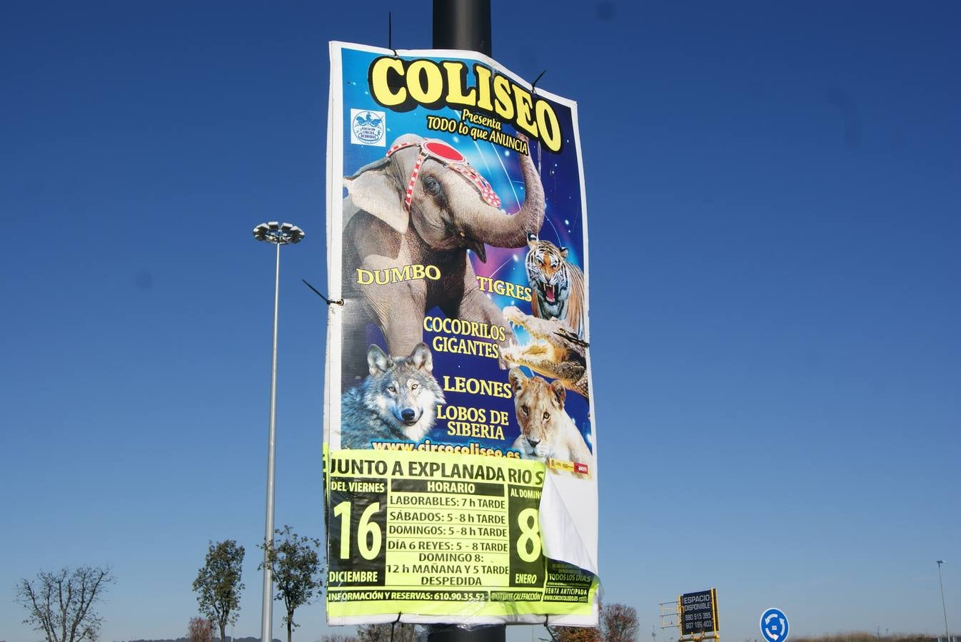 Los animalistas protestan delante del circo Coliseo instalado en Río Shopping por el uso de animales en su espectáculo