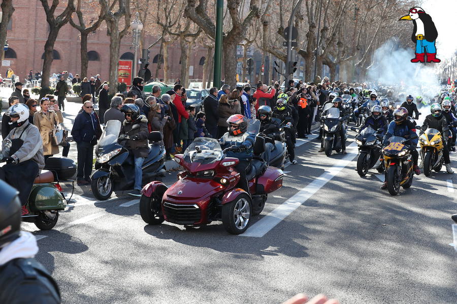 Ambiente en el desfile de banderas de Pingüinos en Valladolid (Parte 5)