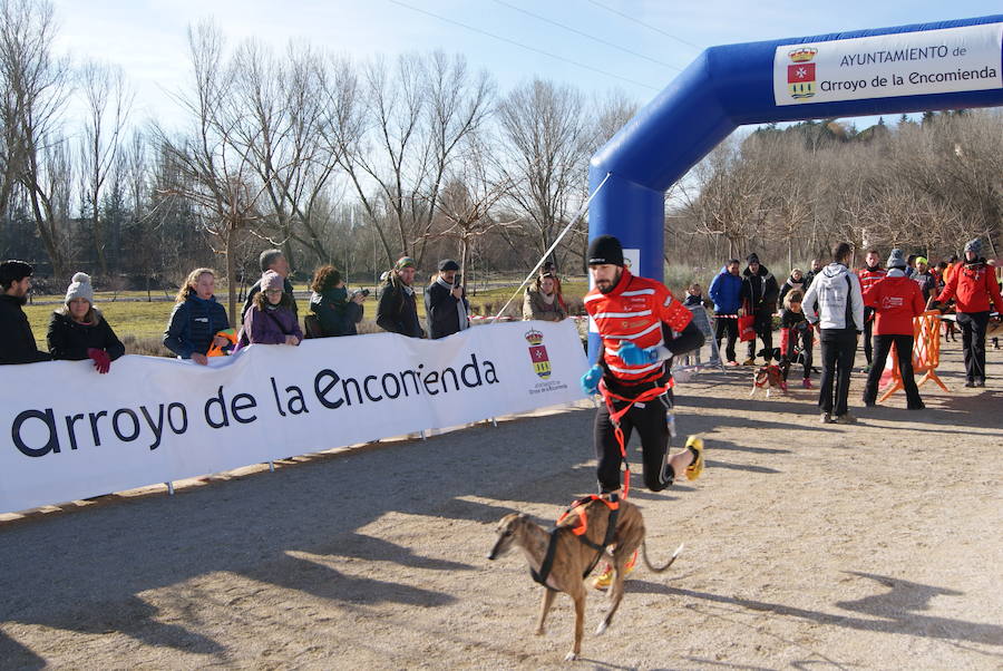 V Canicross Arroyo de la Encomienda 1/2