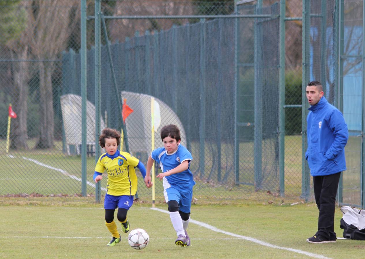 Deporte Base del 4 y 5 de febrero. Palencia (4/4)