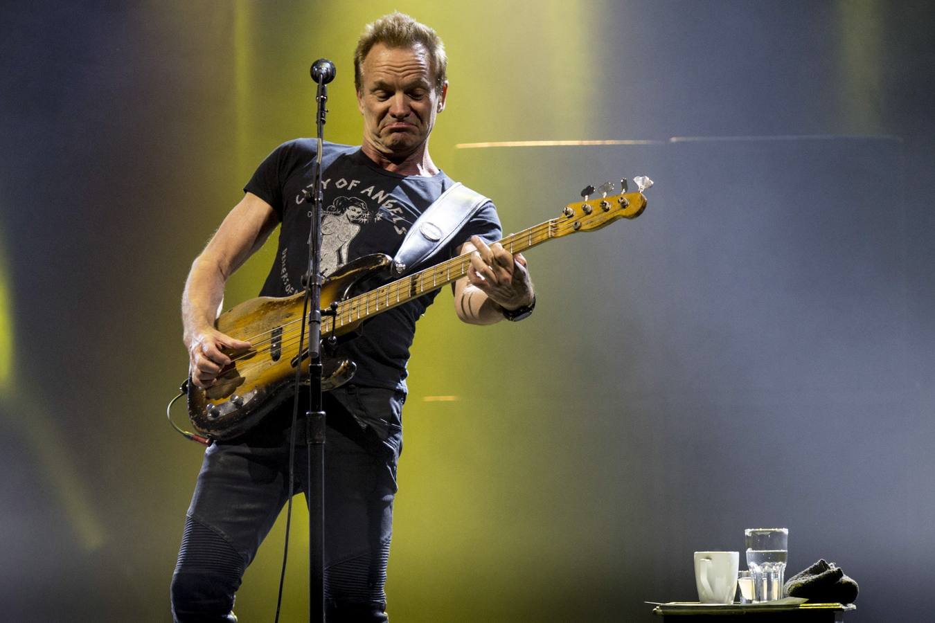 Concierto de Sting en Barcelona