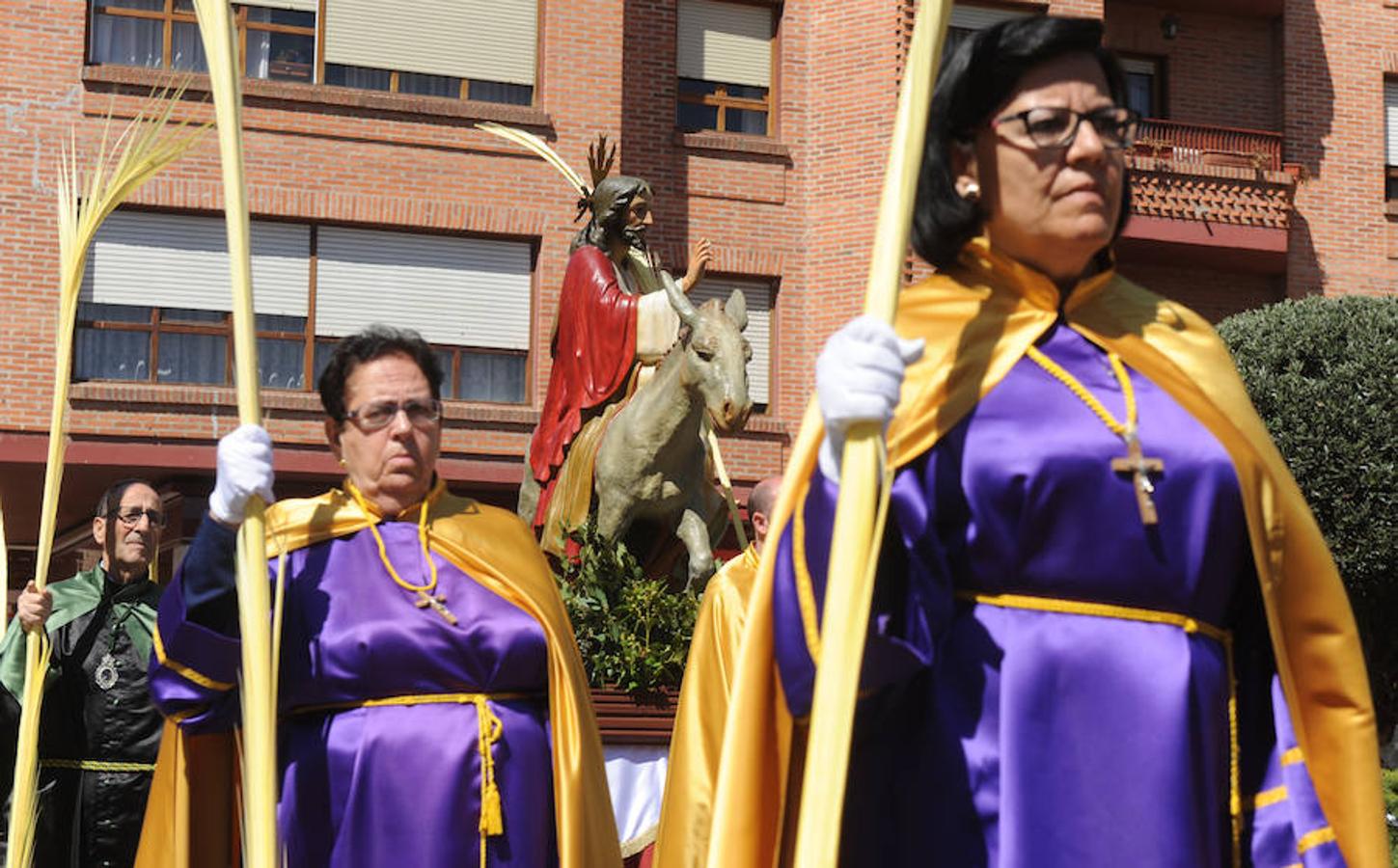 Procesión de la Borriquilla en Olmedo