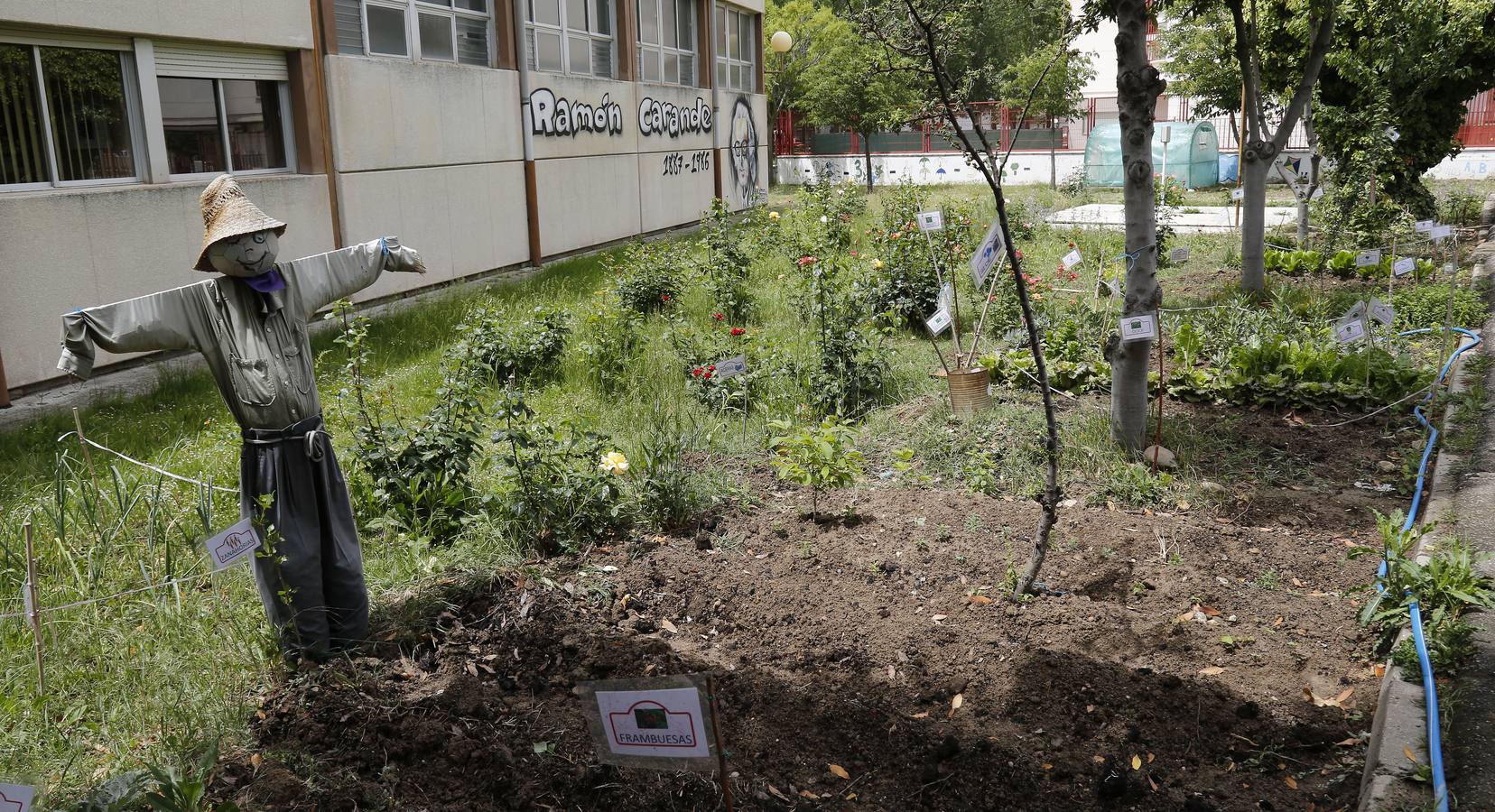 Así es el colegio Ramón Carande de Palencia