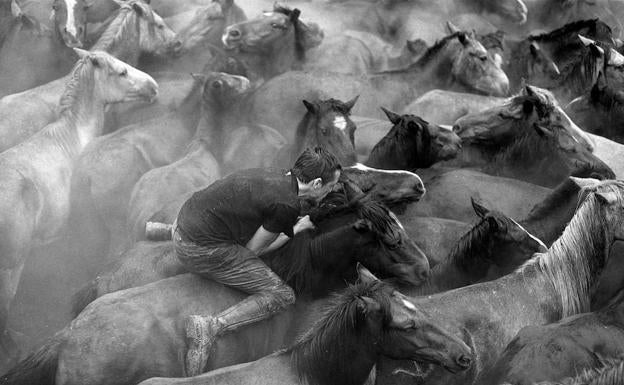 La Rapa das Bestas, fiesta tradicional gallega entre el hombre y el caballo