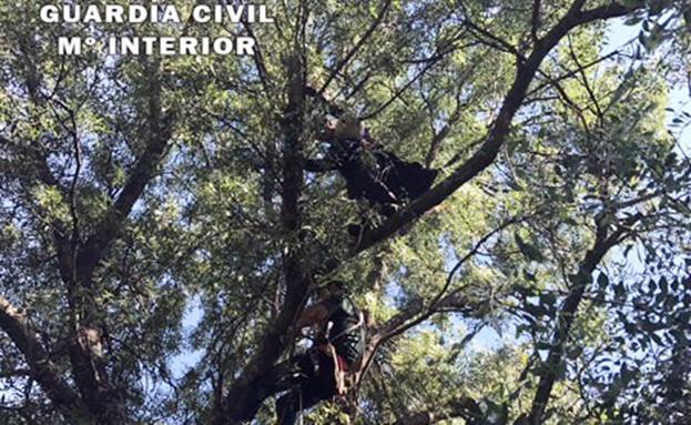 Rescatan a un parapentista colgado de una rama en Ávila