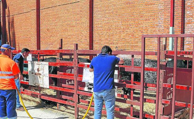 La Feria Agroganadera entrega sus premios a los mejores animales