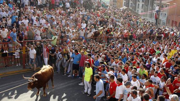 Razonador protagoniza una rápida y limpia carrera en el Toro Enmaromado de Benavente