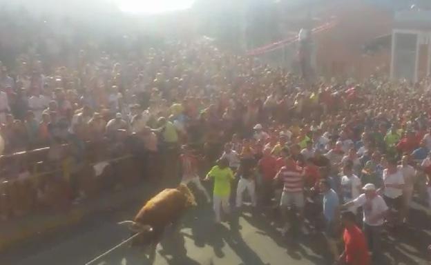 Comienza el recorrido de 'Razonador', el Toro Enmaromado de 2017