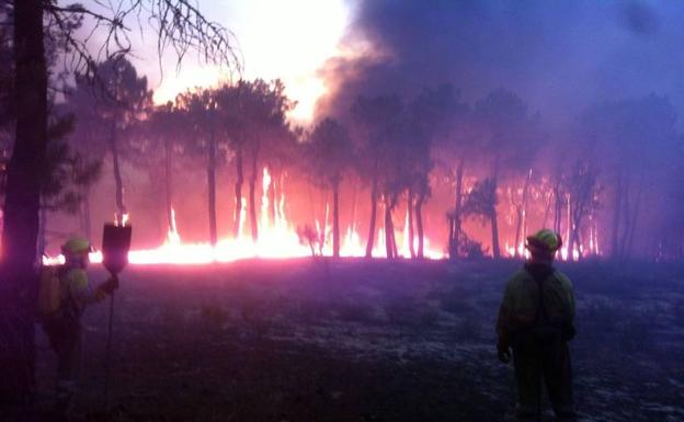 Un incendio en un pinar alcanza Navalilla y obliga a desalojar a treinta personas