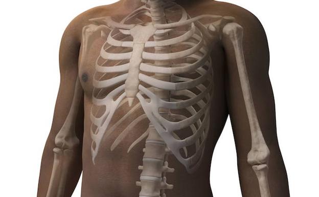 Descubren dos biomarcadores que identifican el riesgo de sufrir osteoporosis